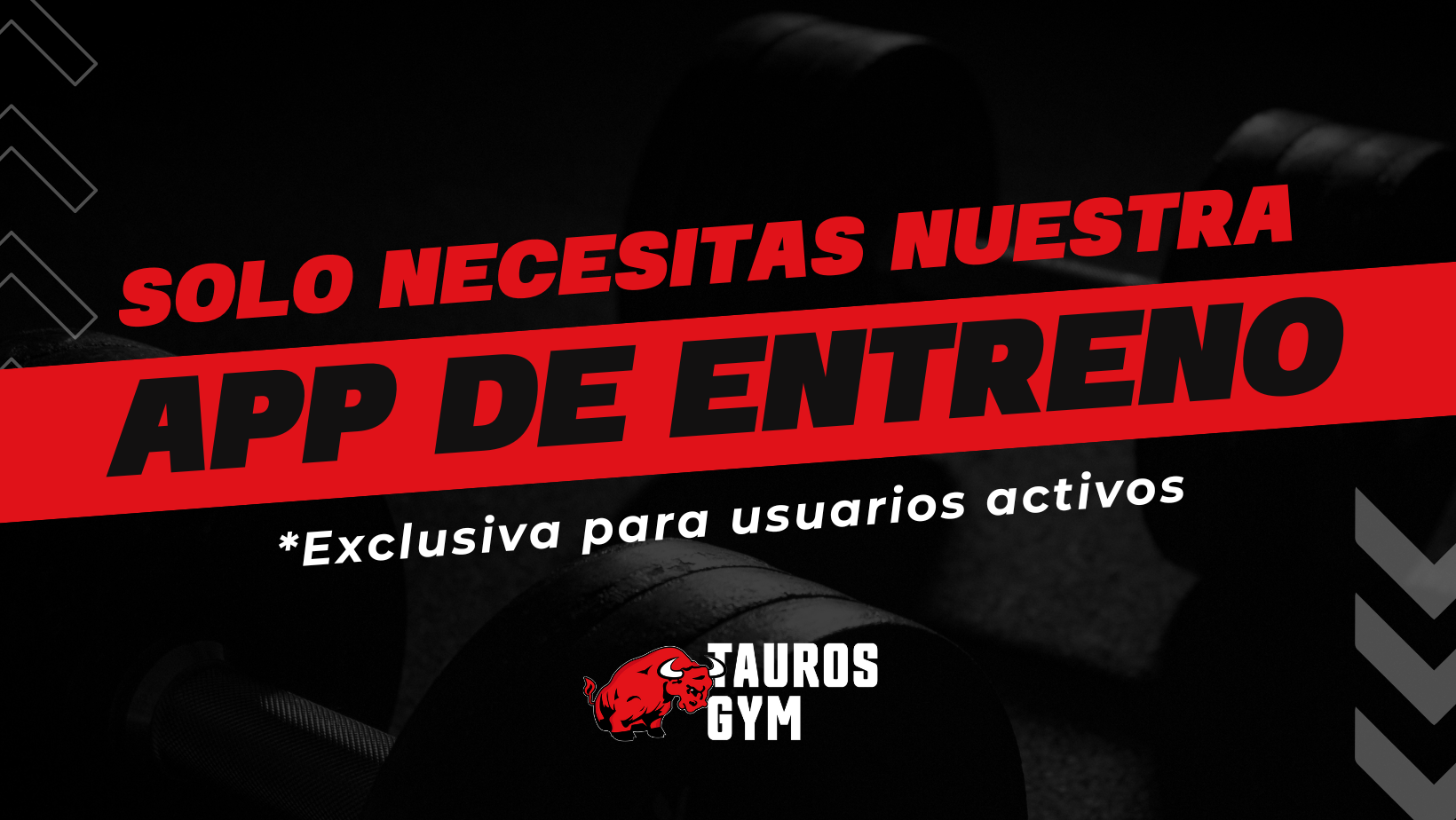 Deja de Planear tus Propios Entrenamientos y Mejor Hazlo con Nuestra App Tauros Gym